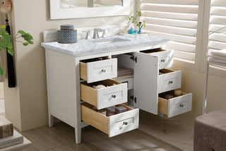 48 Inch Palisades Freestanding Vanity in Bright White / Carrara White Top