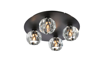 Graham 4 Light Ceiling Lamp in Black