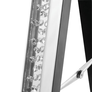 Sparkle 22 in. Contemporary Standing Full length Mirror in Clear