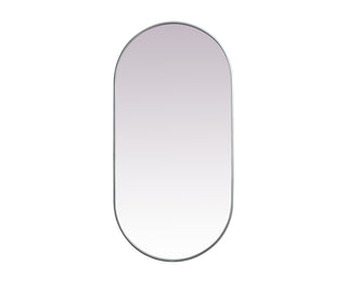 Metal Frame Oval Mirror 30x60 Inch in Silver