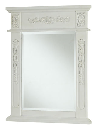 Danville 22 In. Traditional  Mirror In Antique White