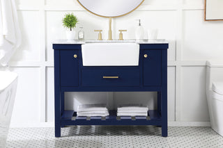 42 inch Single bathroom vanity in blue