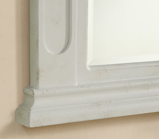 Danville 32 In. Traditional Mirror In Antique White