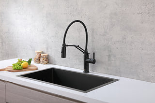 Leonardo Single Handle Pull Down Sprayer Kitchen Faucet in Matte Black