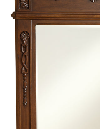 Danville 32 In. Traditional Mirror In Brown