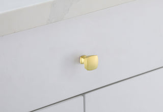 Irvin 1.3" Brushed Gold Square Knob Multipack (Set of 10)