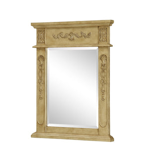 Danville 22 In. Traditional  Mirror In Antique Beige