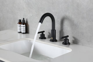 Leah 8 inch Widespread Double Handle Bathroom Faucet in Matte Black