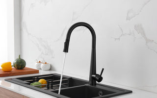 Lucas Single Handle Pull Down Sprayer Kitchen Faucet in Matte Black