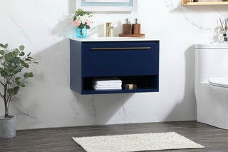 30 inch Single bathroom vanity in blue