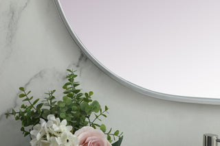 Metal Frame Oval Mirror 24x48 Inch in Silver