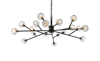 Graham 18 Light Pendant in Black