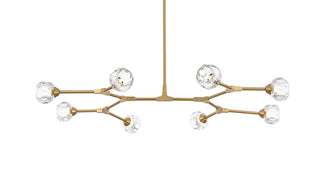 Zayne 8 Light Pendant in Gold