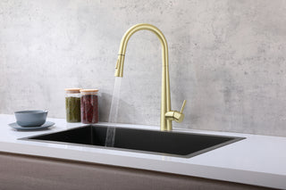 Lucas Single Handle Pull Down Sprayer Kitchen Faucet in Brushed Gold