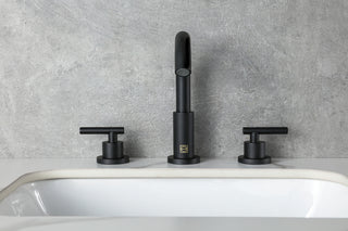 Leah 8 inch Widespread Double Handle Bathroom Faucet in Matte Black