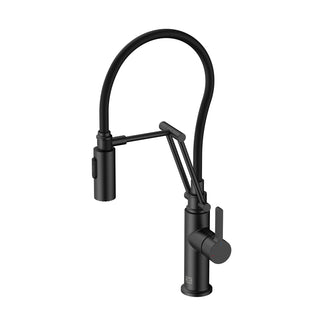 Leonardo Single Handle Pull Down Sprayer Kitchen Faucet in Matte Black