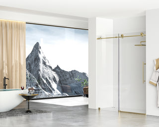 Frameless shower door 60 x 76 Brushed Gold