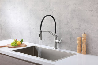 Leonardo Single Handle Pull Down Sprayer Kitchen Faucet in Brushed Nickel