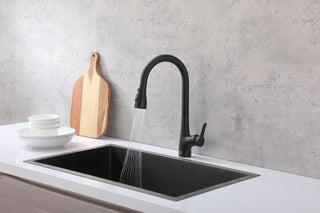 Andrea Single Handle Pull Down Sprayer Kitchen Faucet in Matte Black