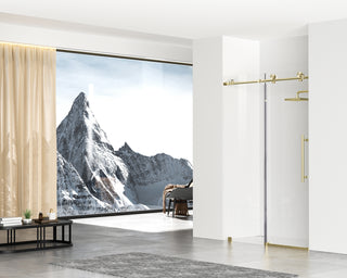 Frameless shower door 48 x 76 Brushed Gold