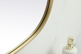 Metal Frame Oval Mirror 24x60 Inch in Brass