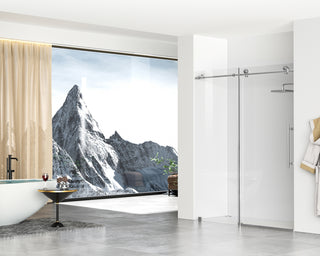 Frameless shower door 60 x 76 Brushed Nickel