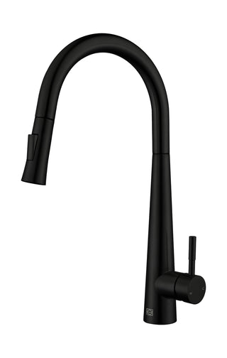 Lucas Single Handle Pull Down Sprayer Kitchen Faucet in Matte Black