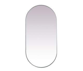 Metal Frame Oval Mirror 36x72 Inch in Silver