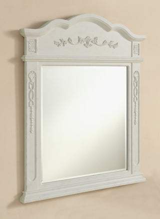 Danville 32 In. Traditional Mirror In Antique White