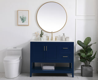 42 inch Single Bathroom Vanity in Blue