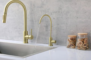 Rian Single Handle Cold Water Dispenser in Brushed Gold