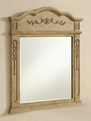 Danville 32 In. Traditional Mirror In Antique Beige