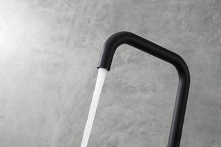 Levi Single Handle Pull Down Sprayer Kitchen Faucet in Matte Black