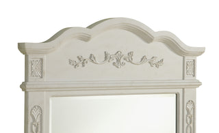 Danville 32 In. Traditional Mirror In Antique White