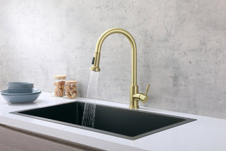 Sem Single Handle Pull Down Sprayer Kitchen Faucet in Brushed Gold