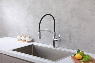 Leonardo Single Handle Pull Down Sprayer Kitchen Faucet in Chrome