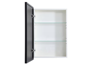 Metal mirror medicine cabinet 20 inch x 28 inch in Black