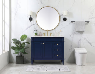 42 inch Single bathroom vanity in blue