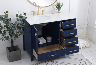 42 inch Single Bathroom Vanity in Blue