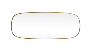 Metal Frame Oval Mirror 24x60 Inch in Brass