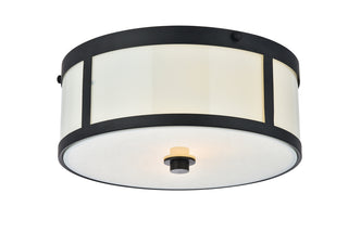 Hadrian 2 light 12 inch flat black flush mount