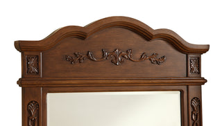 Danville 32 In. Traditional Mirror In Brown