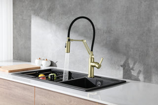 Leonardo Single Handle Pull Down Sprayer Kitchen Faucet in Brushed Gold