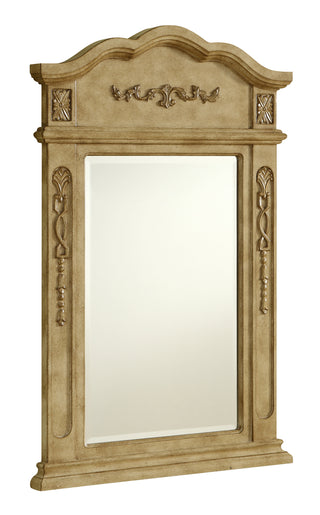 Danville 24 In. Traditional  Mirror In Antique Beige