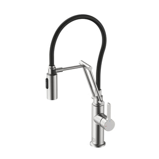 Leonardo Single Handle Pull Down Sprayer Kitchen Faucet in Brushed Nickel