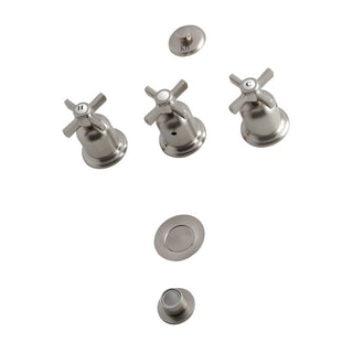 Millennium Bidet Faucet in Brushed Nickel