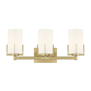Froselle 22" Wide 3-Light Vanity