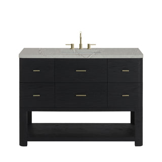 48 Inch Lucian Freestanding Vanity in Carbon Oak / Victorian Silver Top