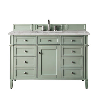 48 Inch Brittany Freestanding Vanity in Sage Green / Victorian Silver Top