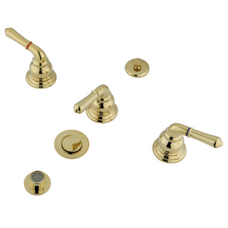 Magellan Bidet Faucet in Polished Brass